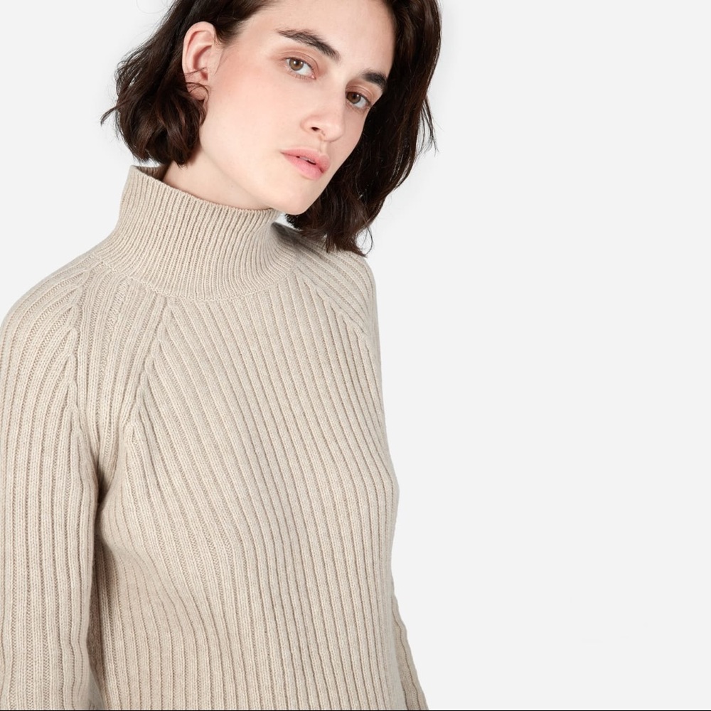 Ribbed wool-cashmere turtleneck sweater